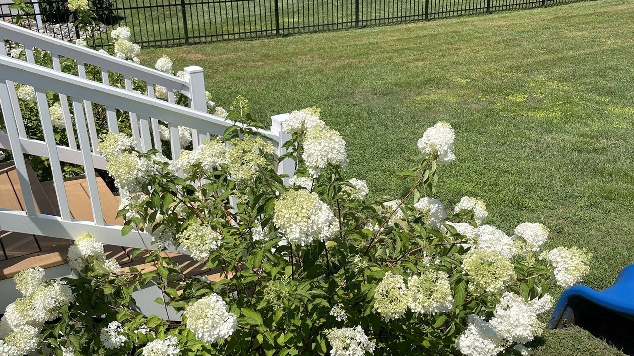 Photo of Outdoor in Grasonville