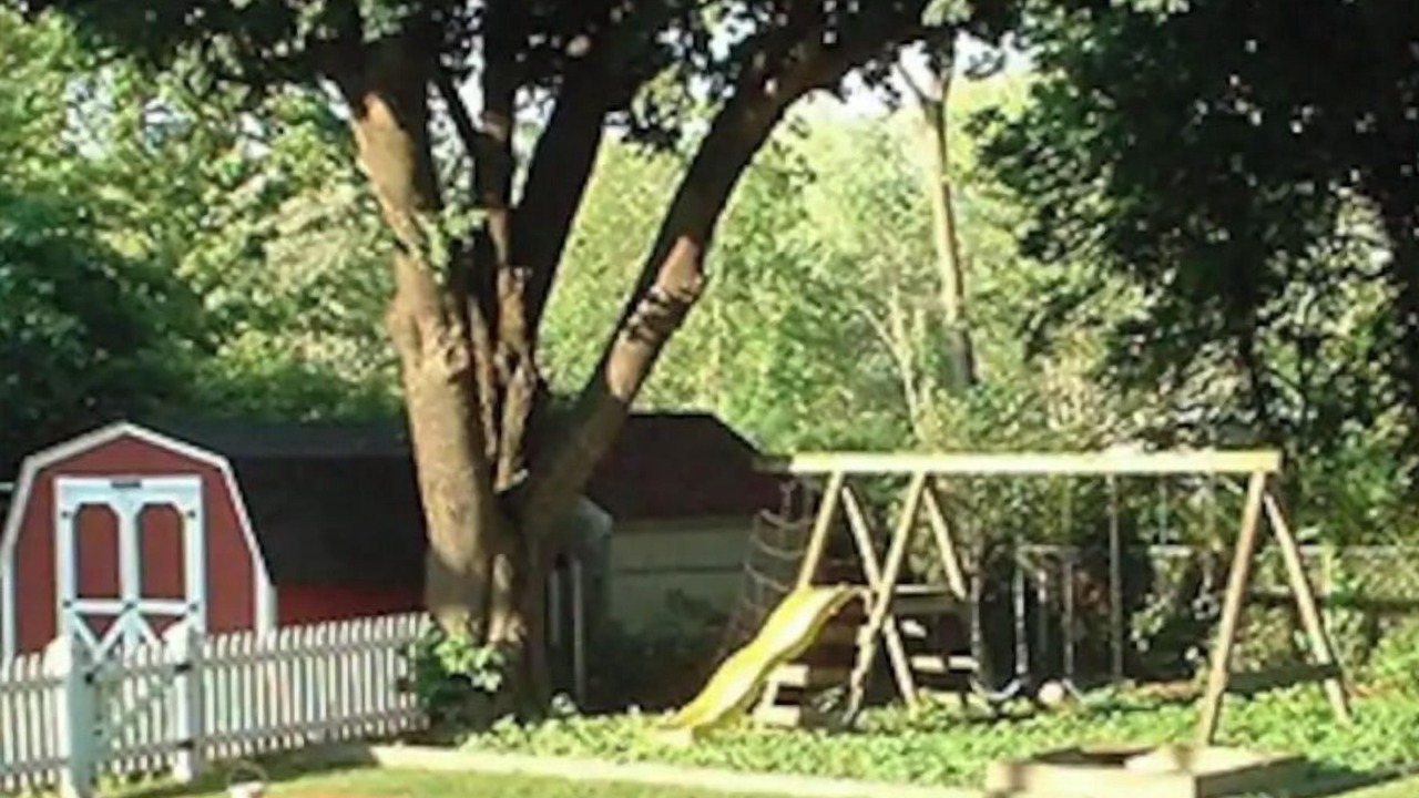 Photo of Outdoor in Put-in-Bay
