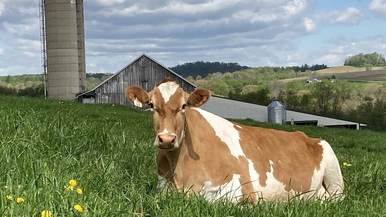 Photo of Outdoor in Dickerson Run