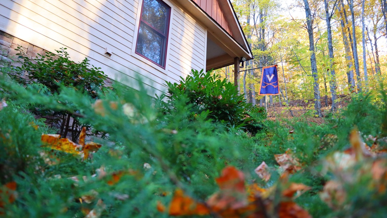 Photo of Outdoor in Nellysford