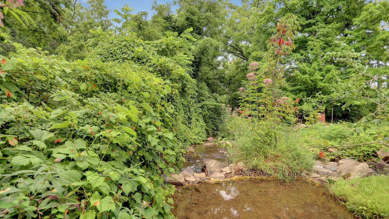 Photo of Outdoor in Spring Mills