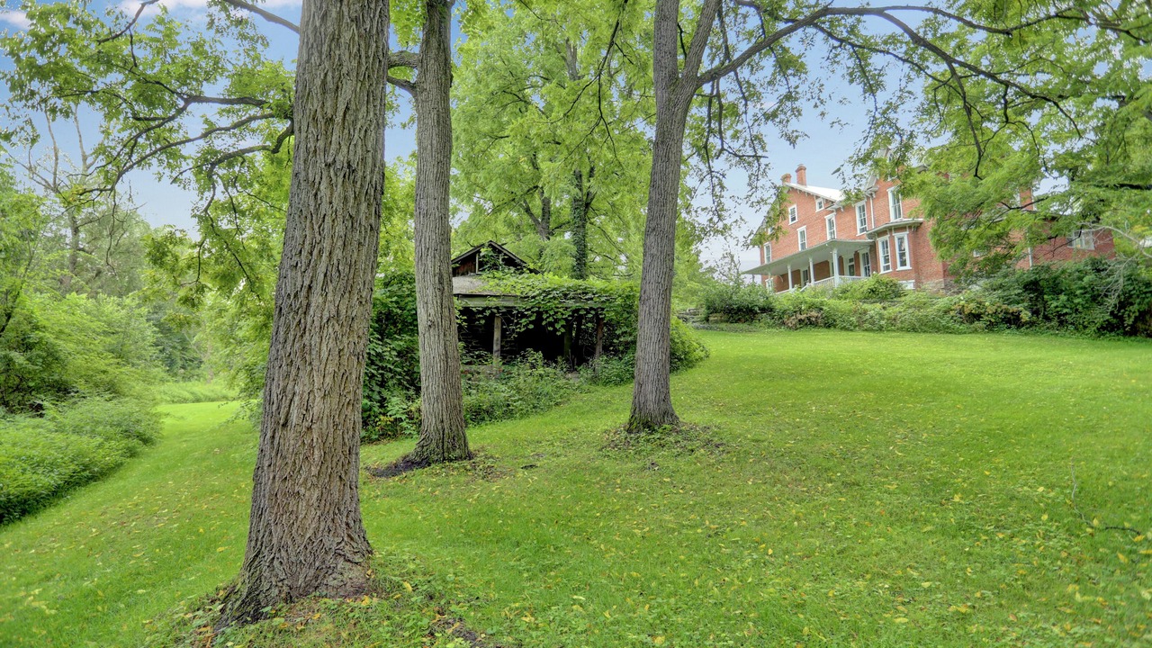 Photo of Outdoor in Spring Mills