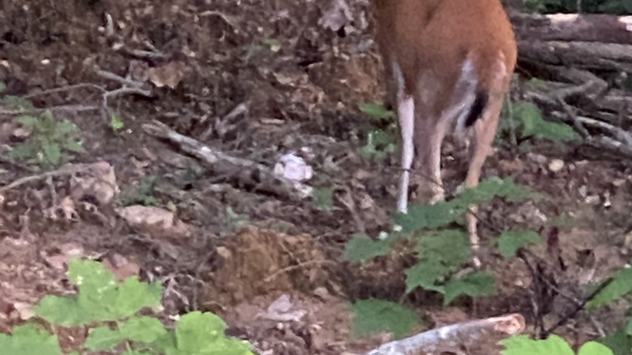 Photo of Outdoor in Goose Rock
