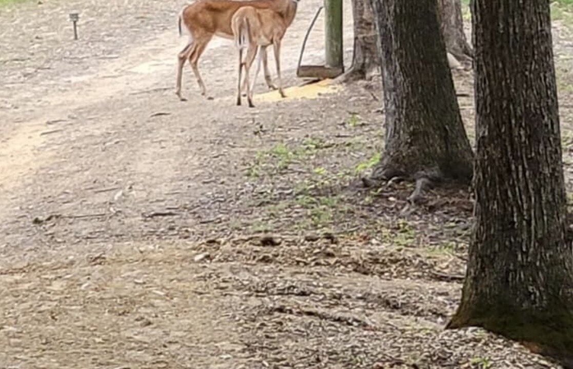 Photo of Others in Goose Rock
