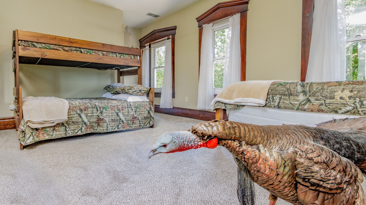 Photo of Bedroom in East Millsboro