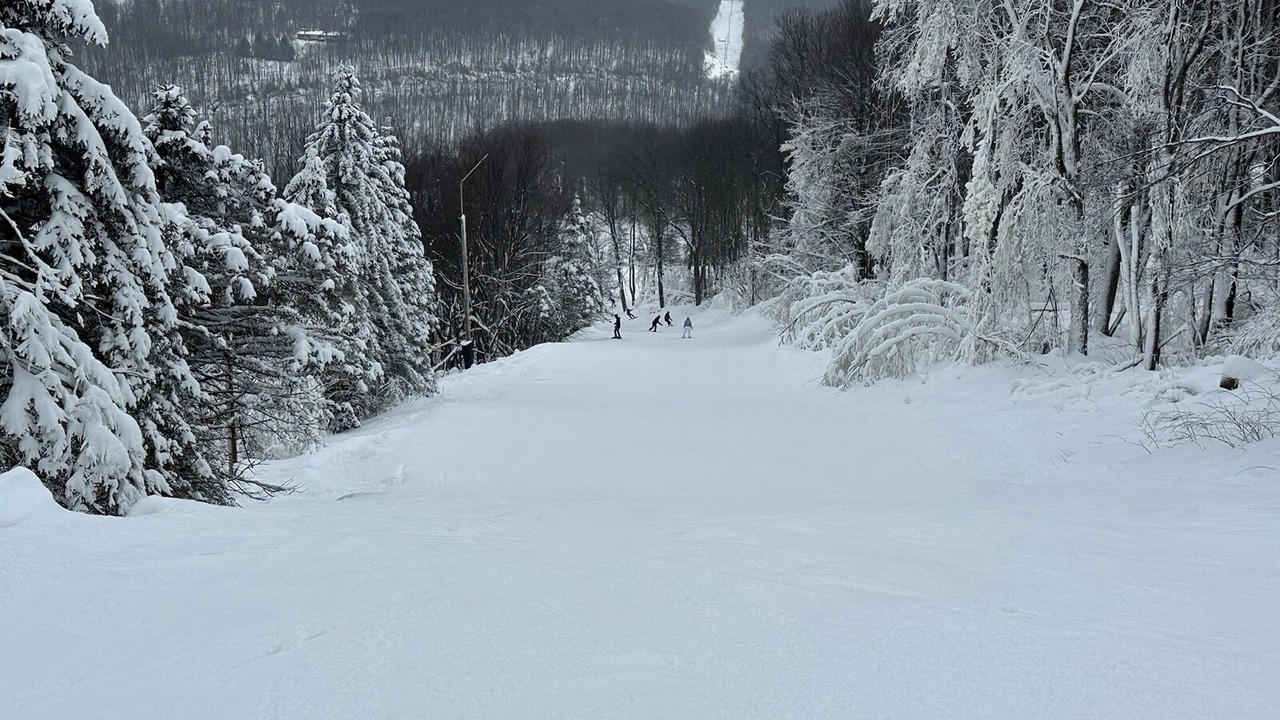 Photo of Others in Seven Springs