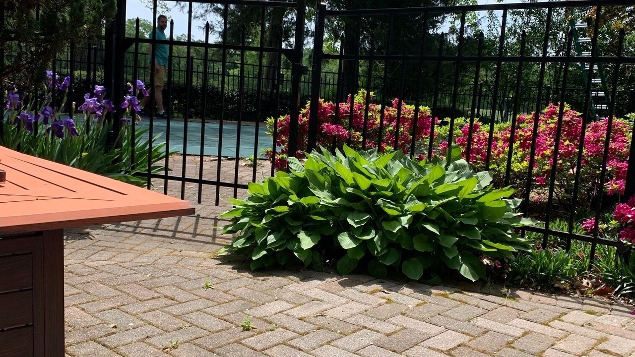Photo of Outdoor in Chestertown