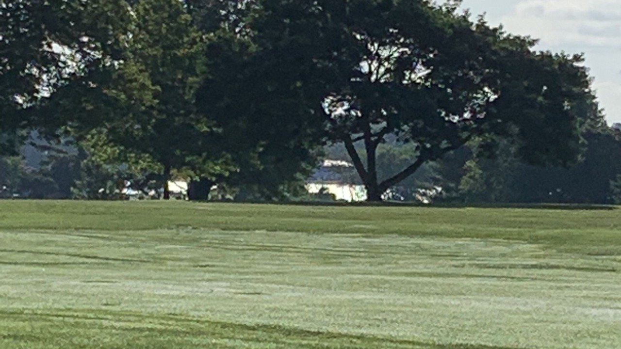 Photo of Others in Chestertown