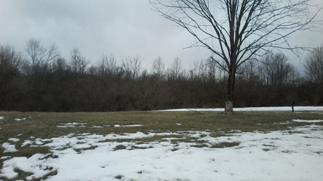 Photo of Others in Carbon Hill