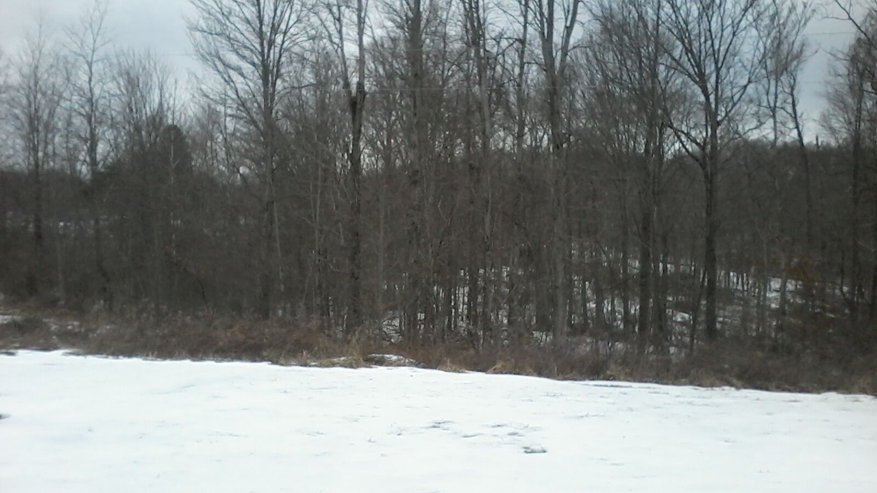Photo of Others in Carbon Hill
