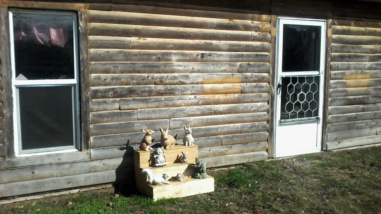 Photo of Outdoor in Carbon Hill