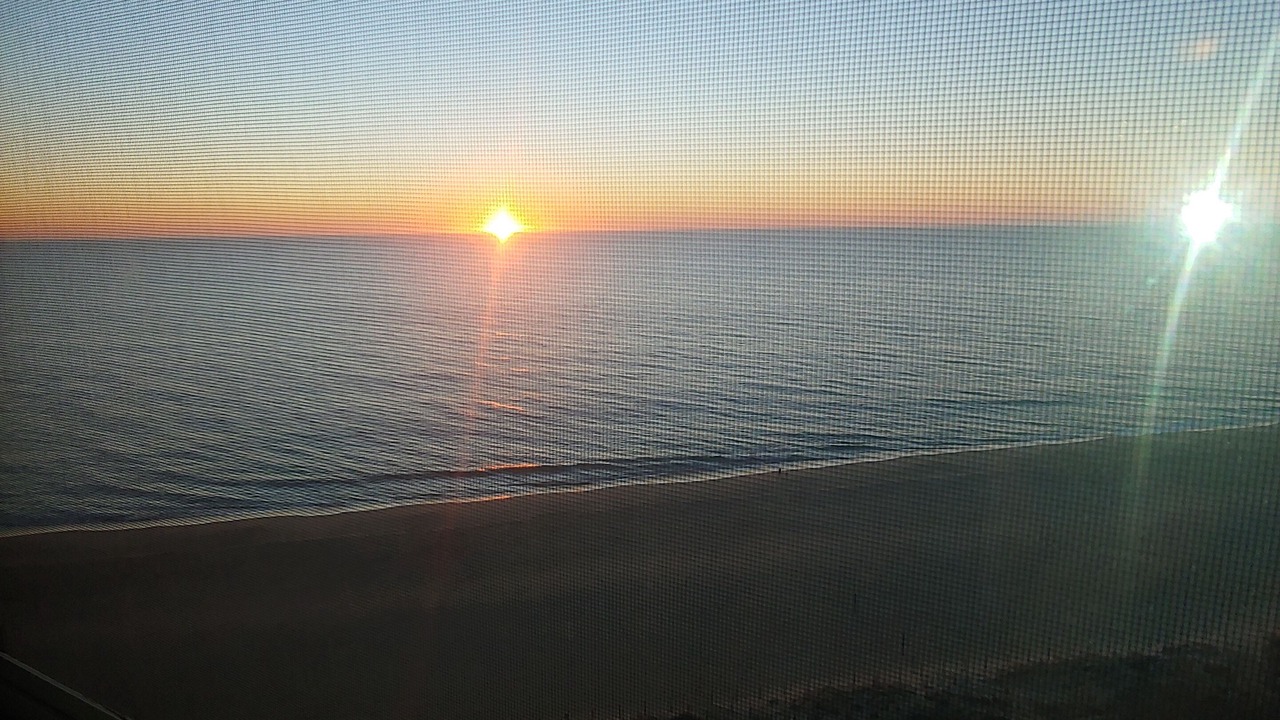 Photo of Others in North Ocean City