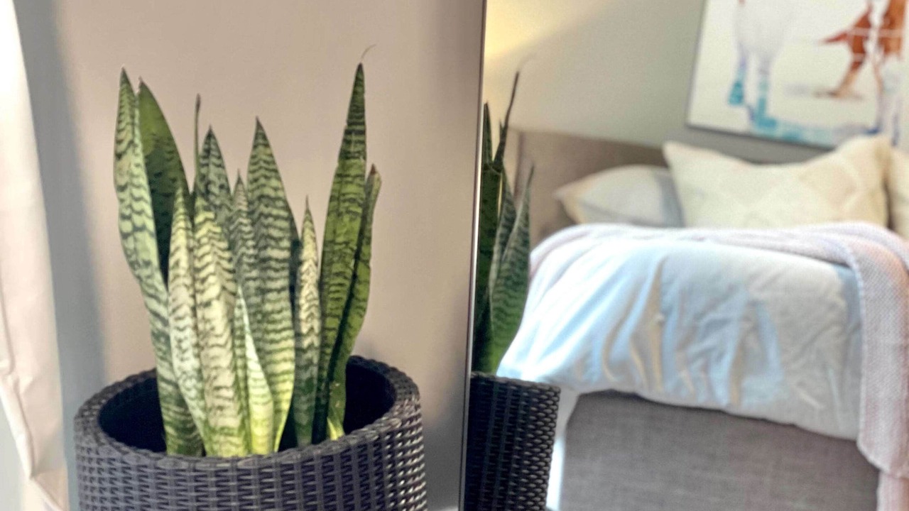 Photo of Bedroom in Queen Village