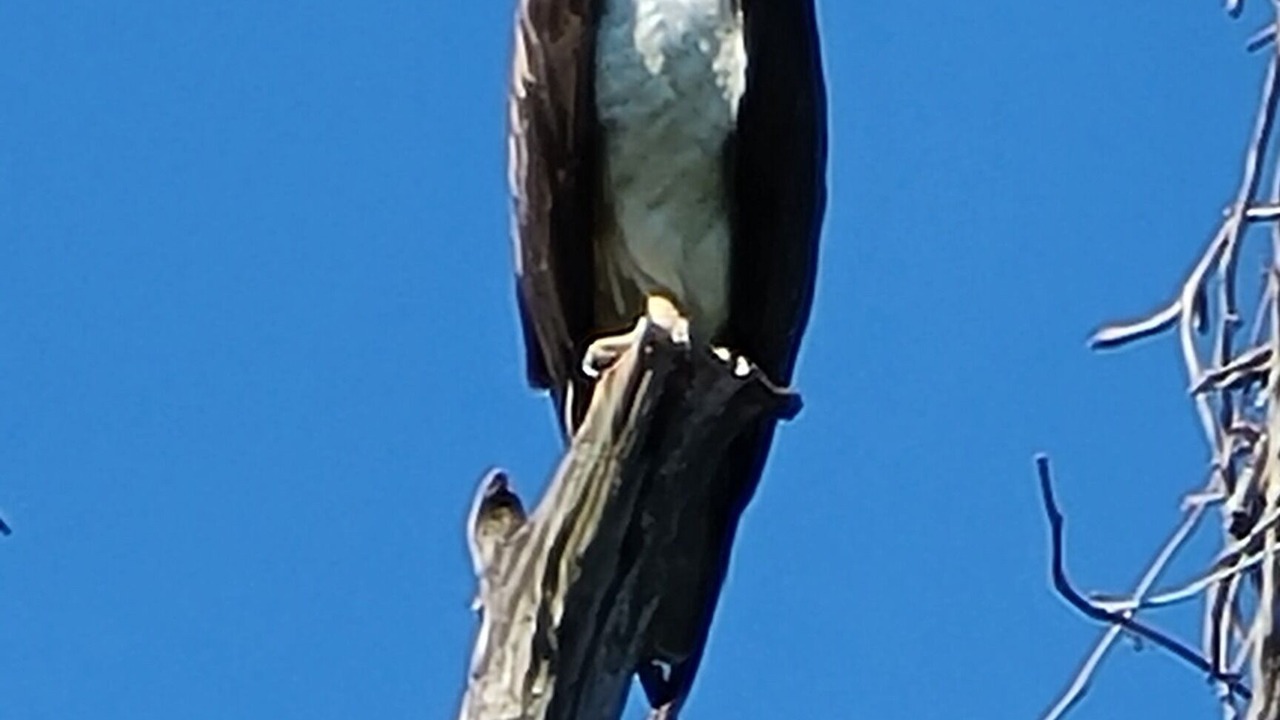 Photo of Others in Barstow