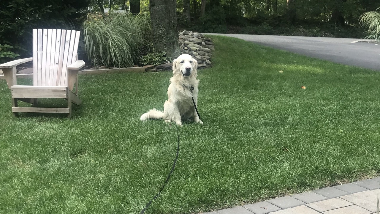 Photo of Outdoor in Brielle