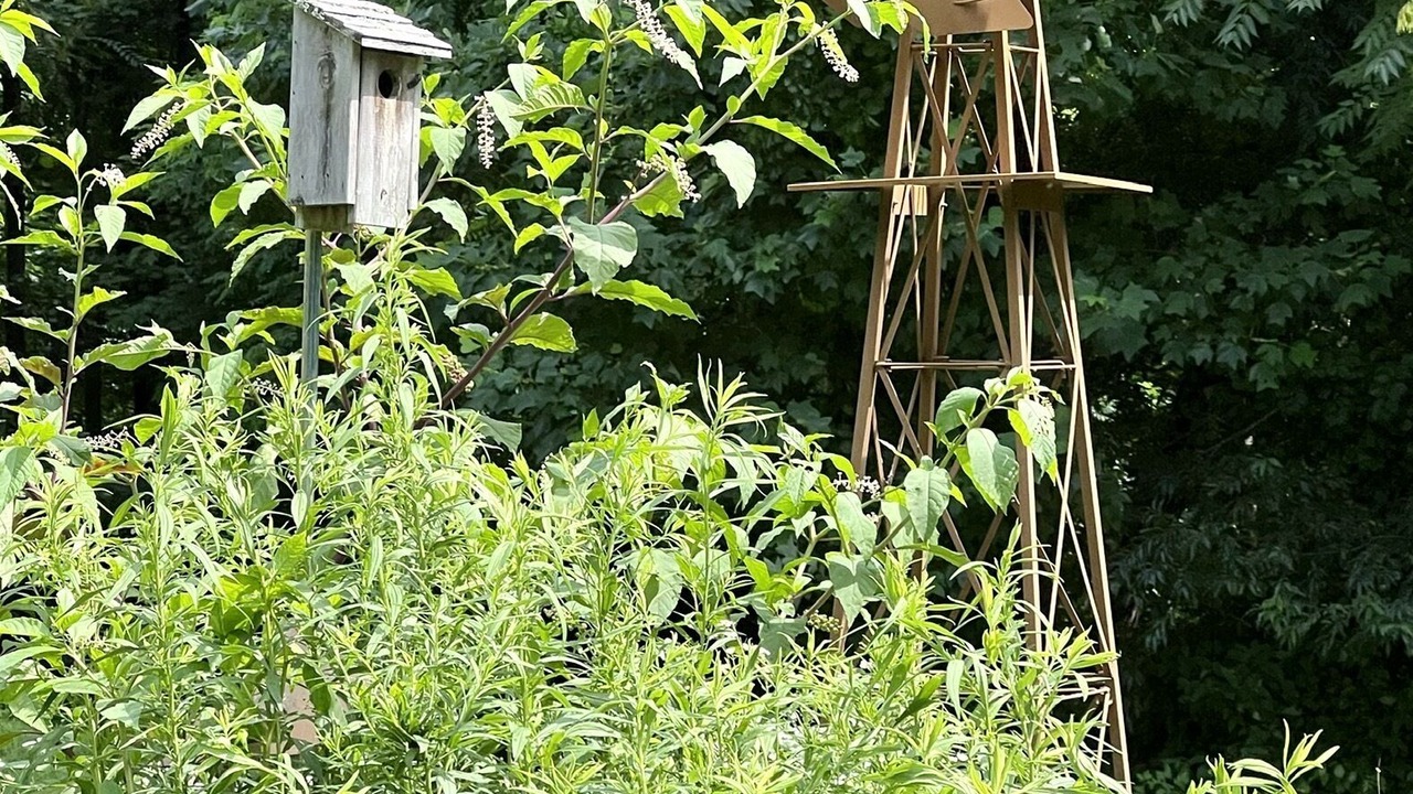 Photo of Outdoor in Syria