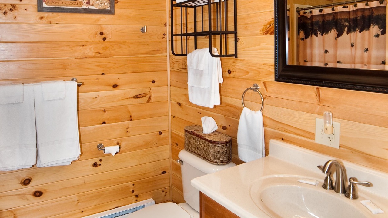 Photo of Bathroom in Flintstone