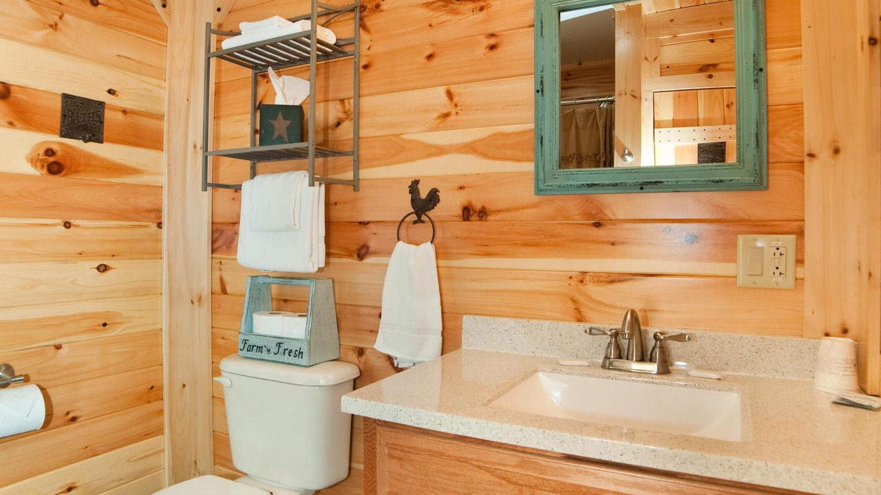 Photo of Bathroom in Flintstone