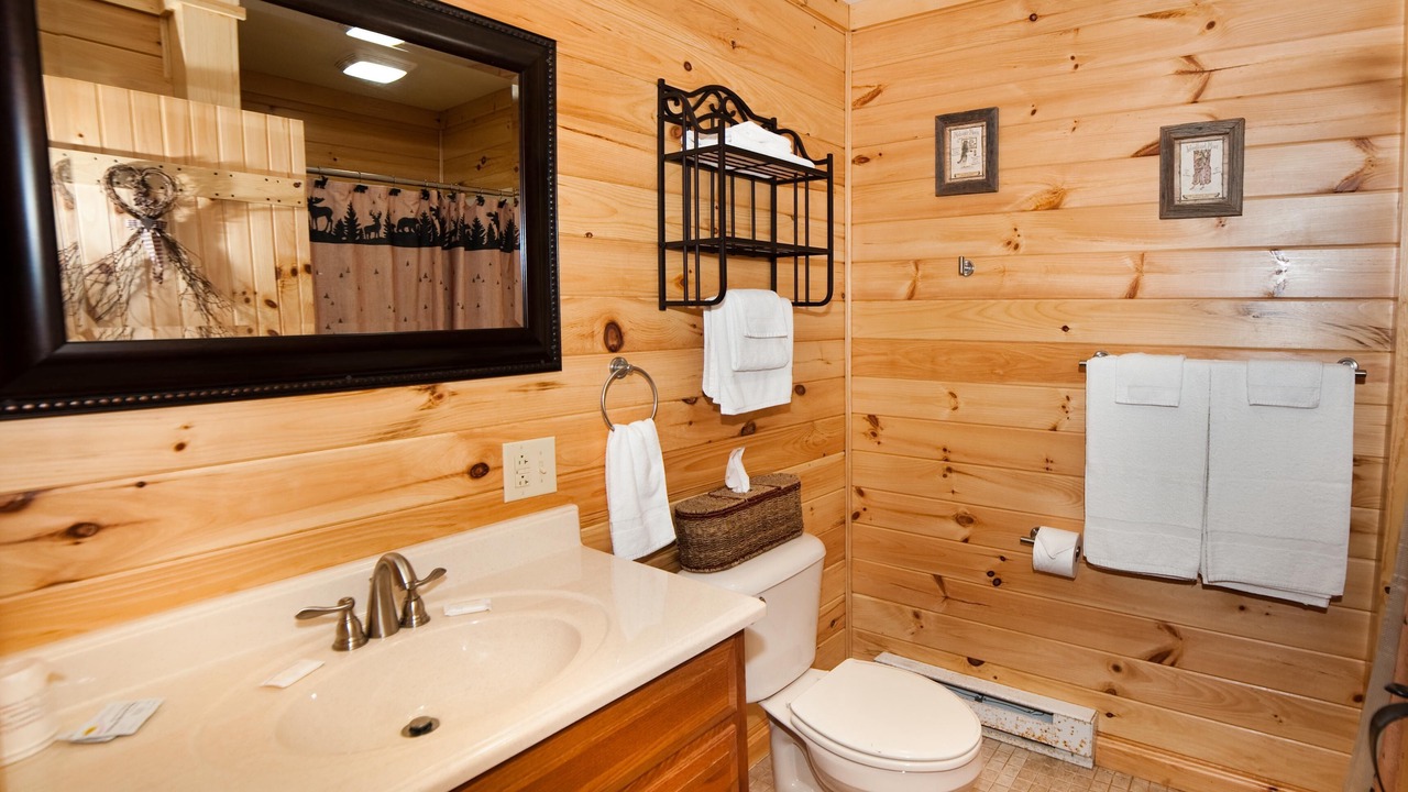 Photo of Bathroom in Flintstone
