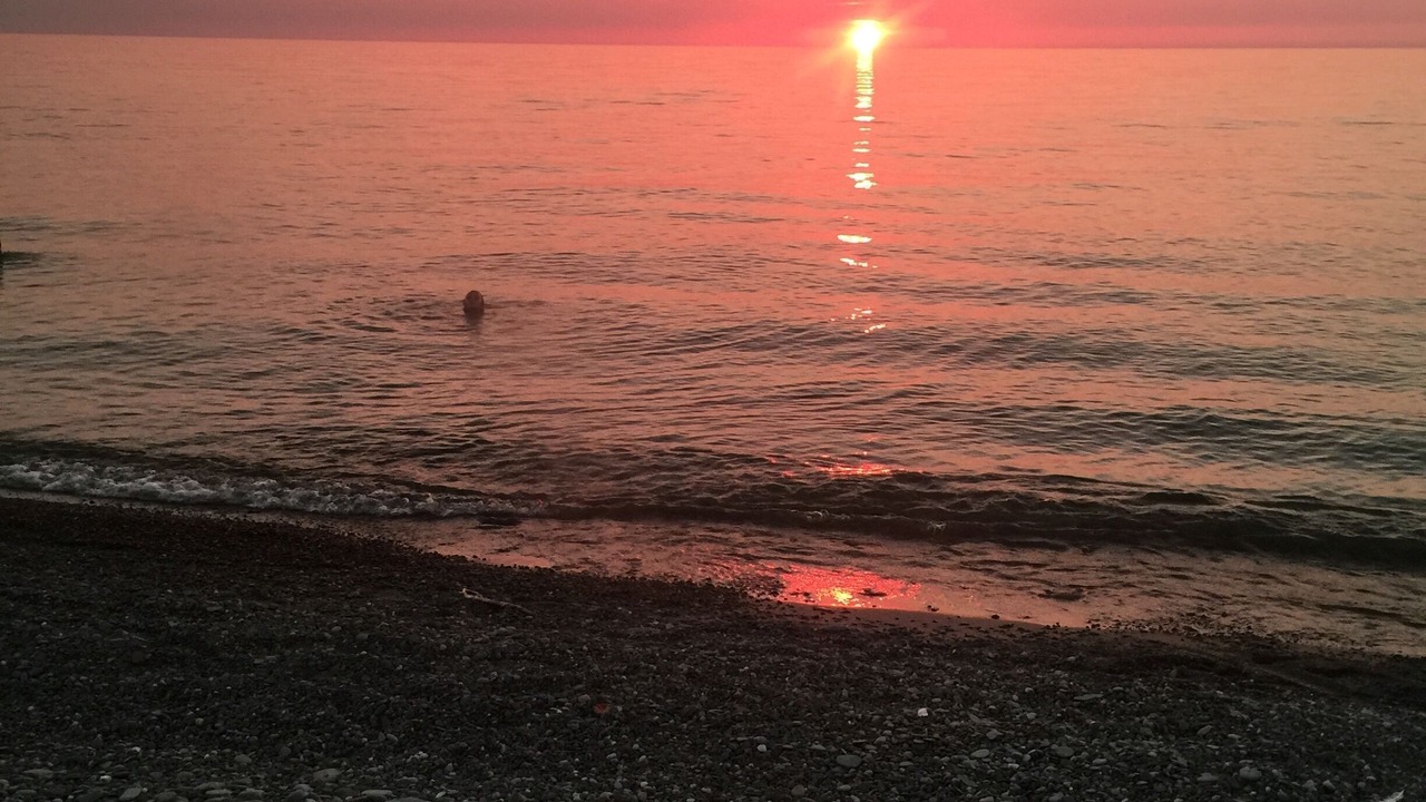 Photo of Others in Erie