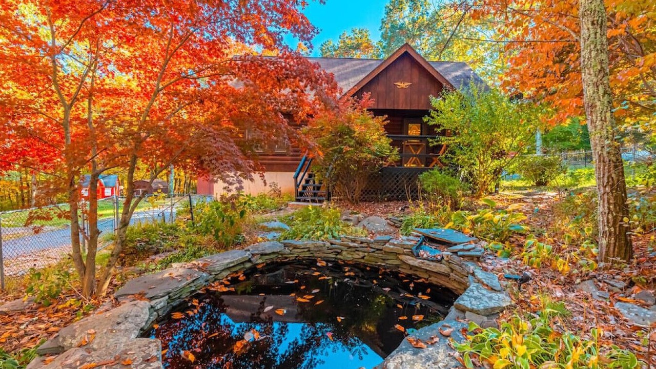 Photo of Outdoor in Canadensis