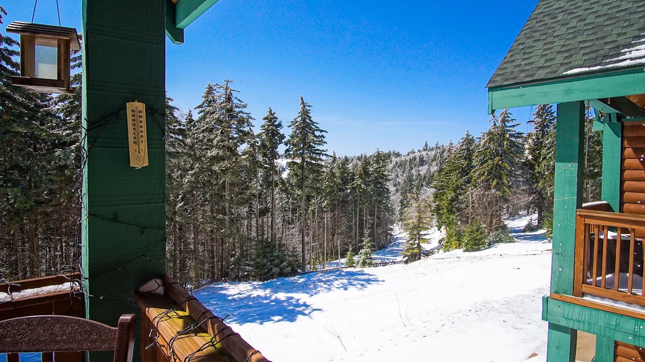 Photo of Patio Balcony in Snowshoe