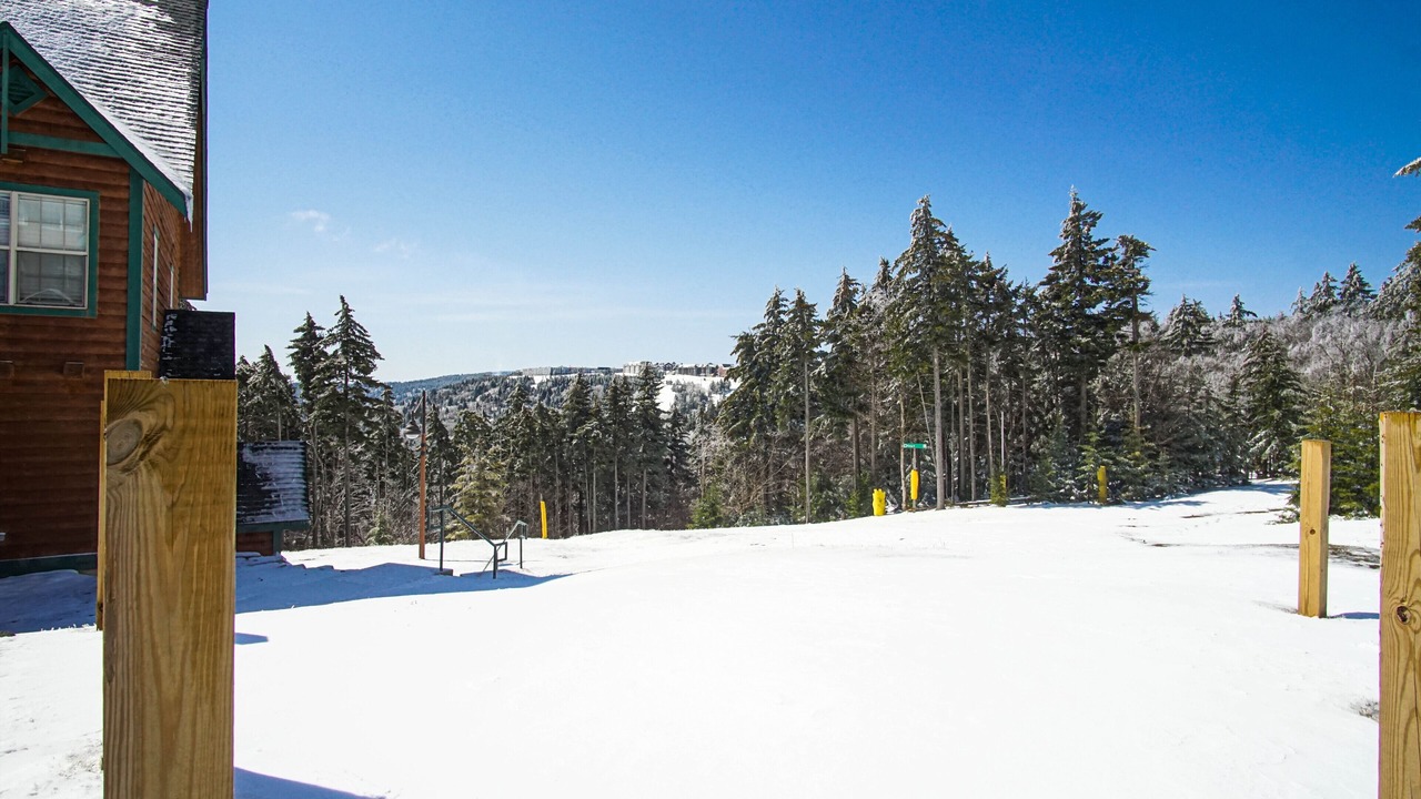 Photo of Others in Snowshoe