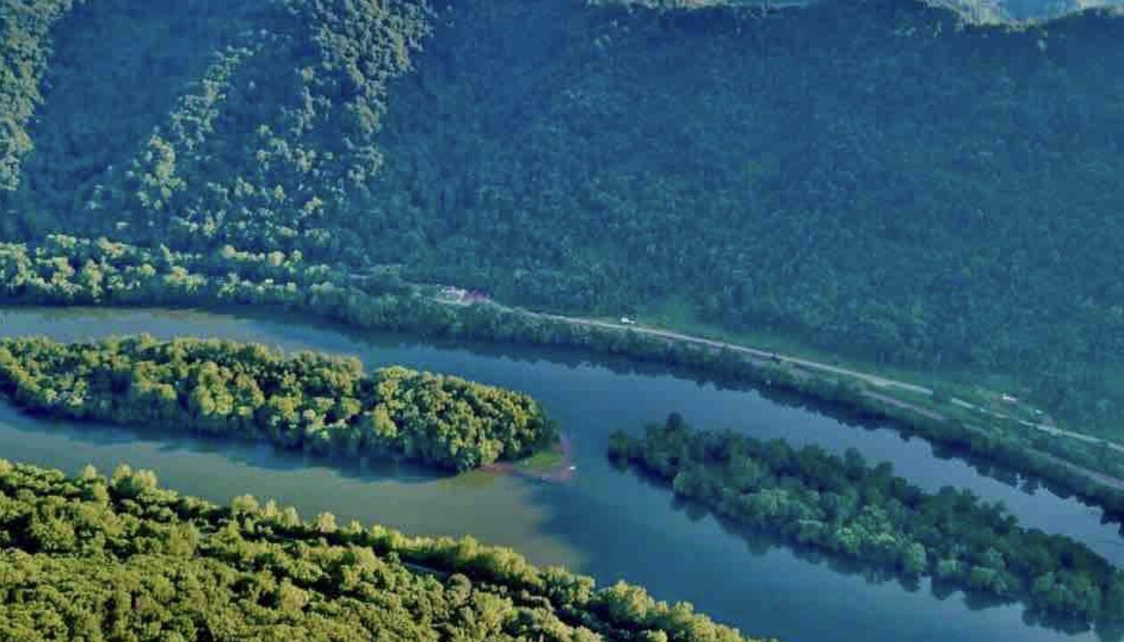 Photo of Others in Mount Carbon