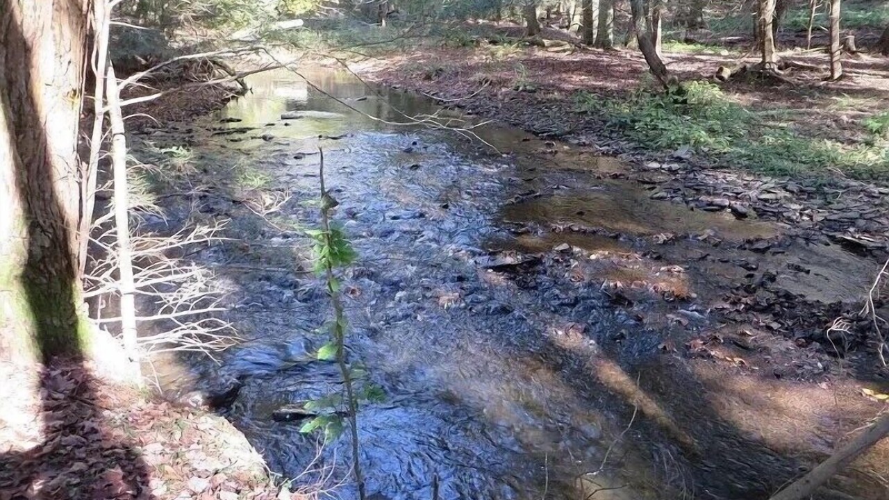 Photo of Outdoor in Dushore