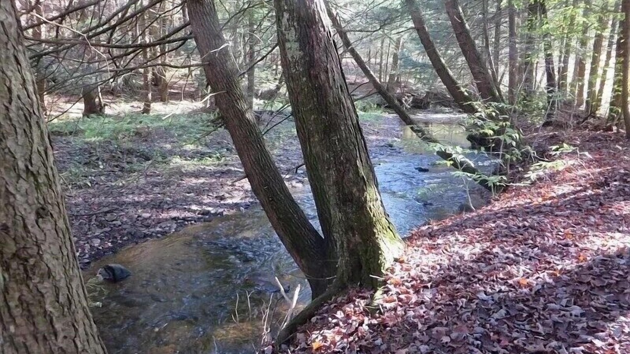 Photo of Outdoor in Dushore