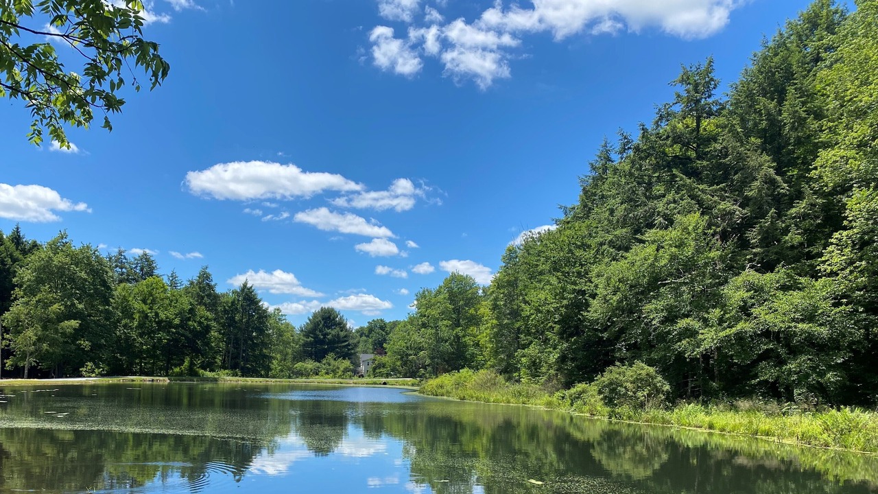 Photo of Outdoor in Dushore