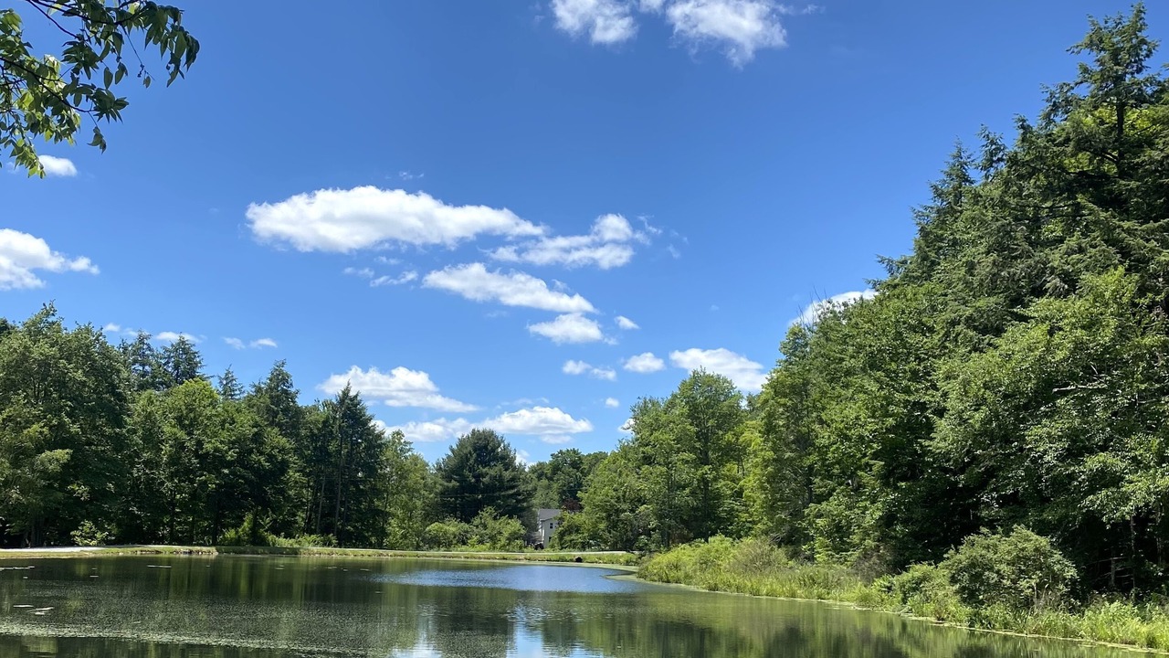 Photo of Outdoor in Dushore