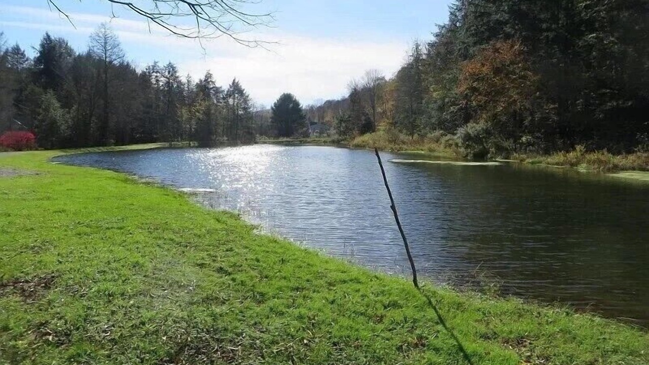 Photo of Outdoor in Dushore