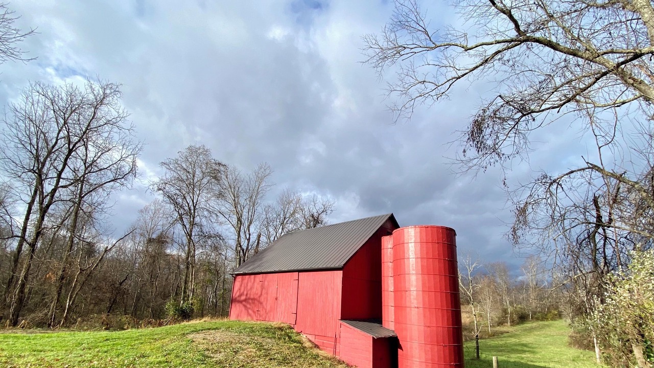Photo of Outdoor in Bartlett