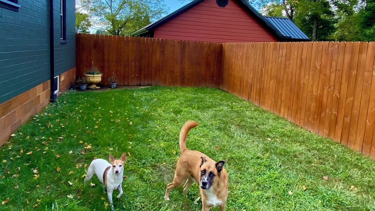 Photo of Outdoor in Bartlett