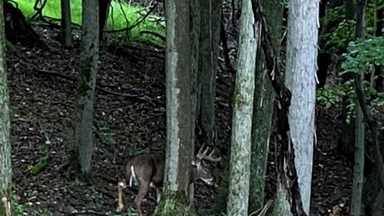 Photo of Others in Treasure Lake