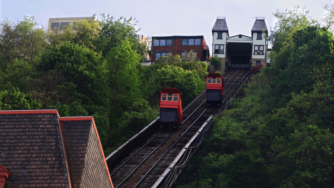 Photo of Others in South Side Slopes