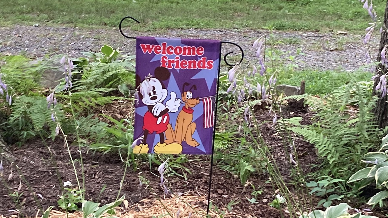 Photo of Outdoor in Linville