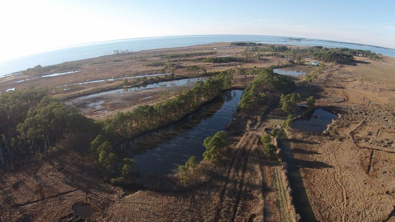 Photo of Outdoor in Fishing Creek