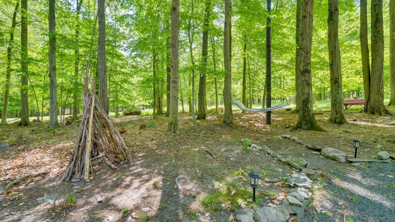 Photo of Outdoor in Lake Ariel