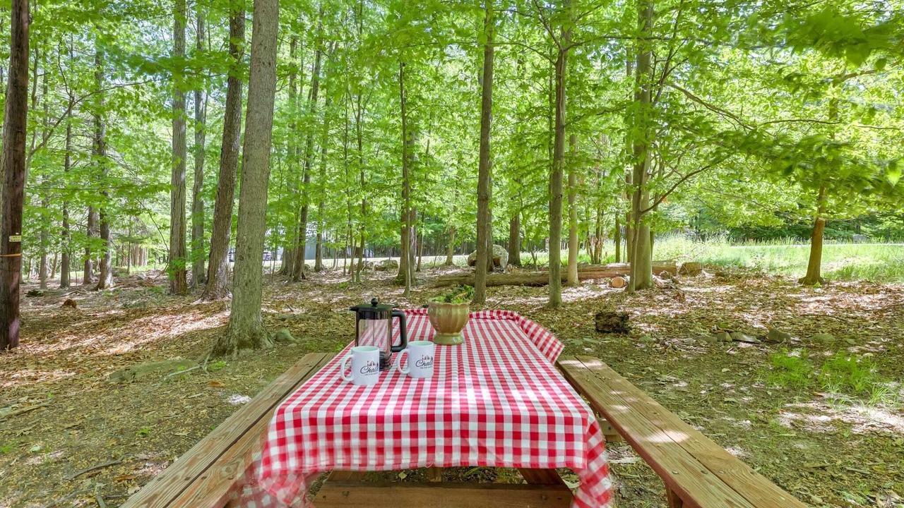 Photo of Outdoor in Lake Ariel