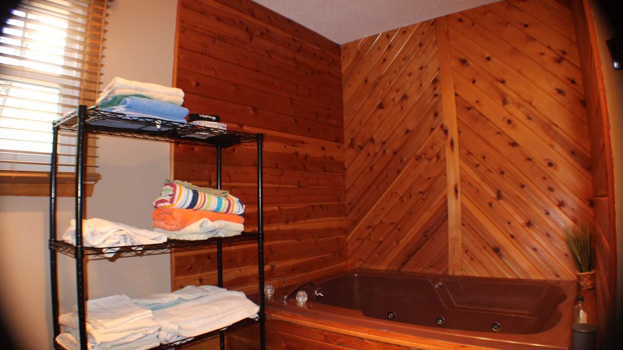 Photo of Bathroom in Lackawaxen