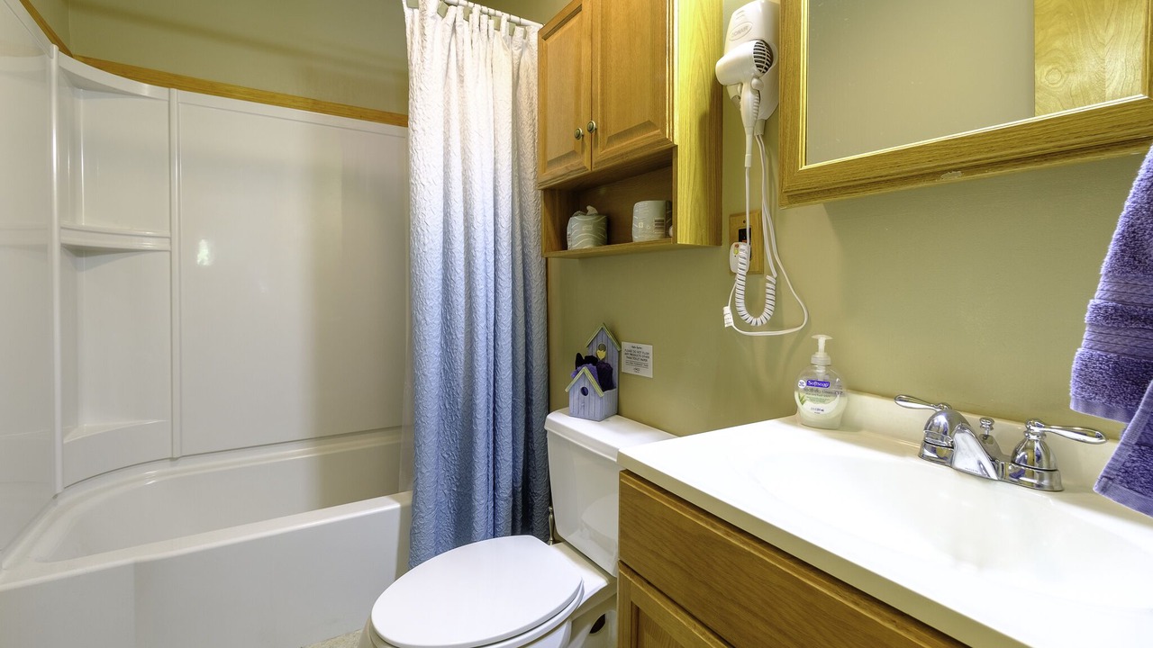 Photo of Bathroom in Lackawaxen