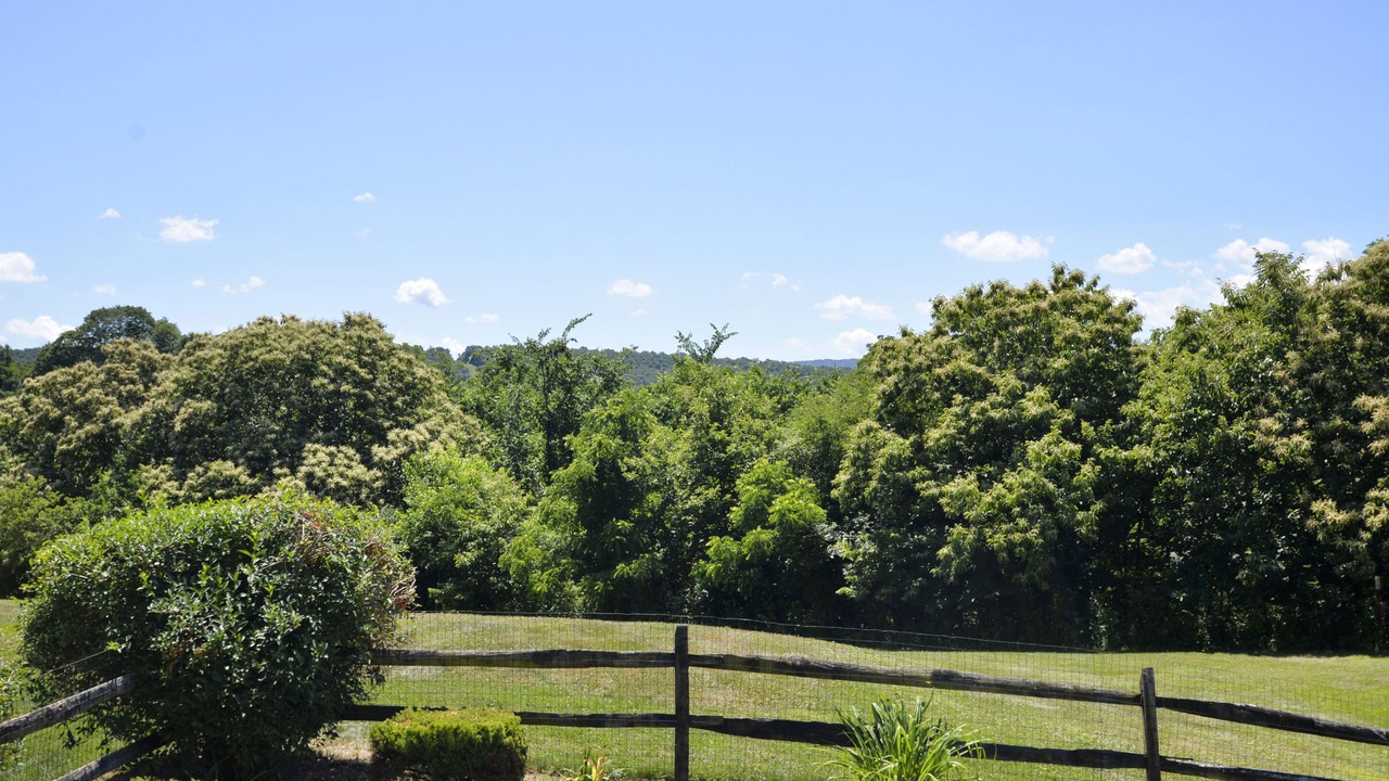Photo of Others in James Creek