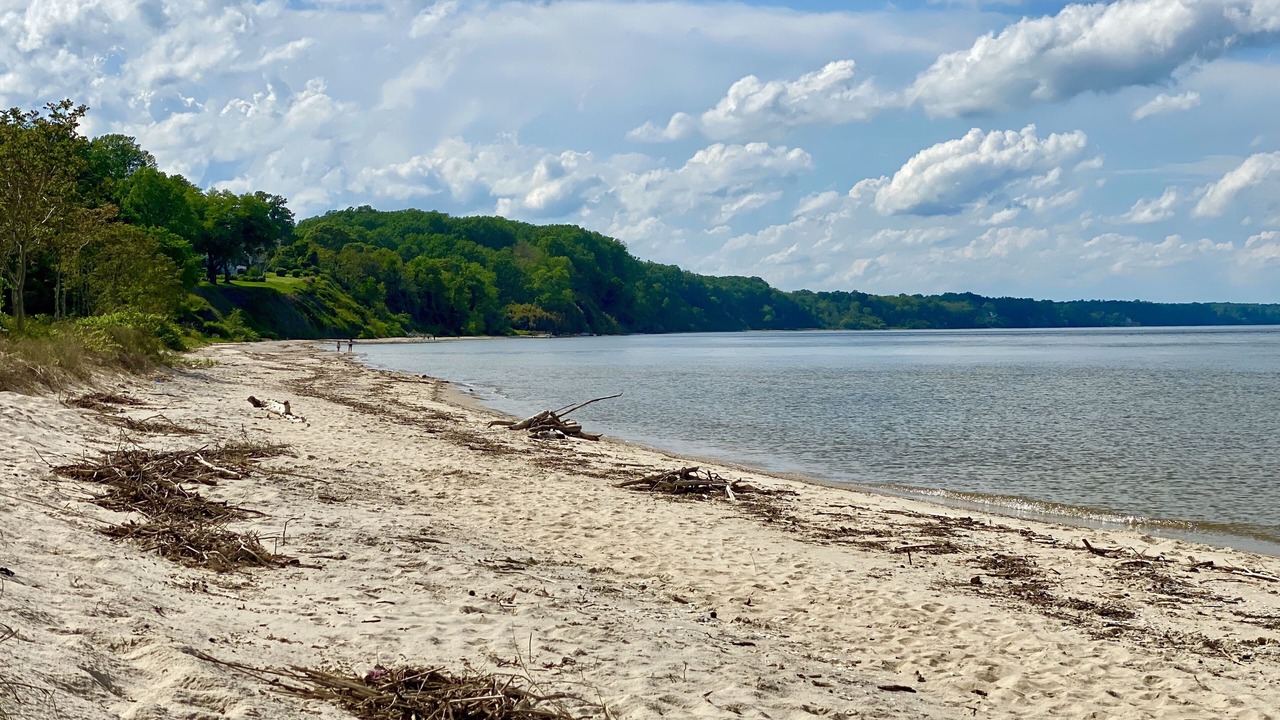 Photo of Others in Calvert Beach-Long Beach