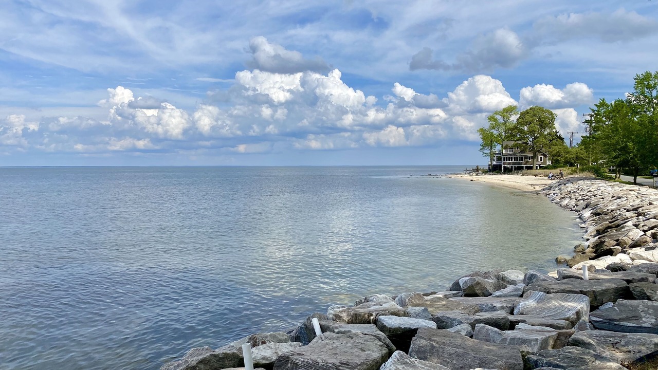 Photo of Others in Calvert Beach-Long Beach