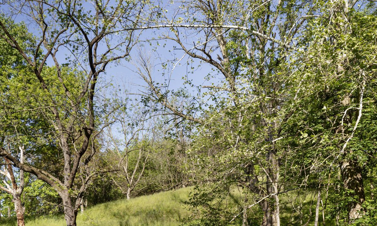 Photo of Outdoor in Columbia