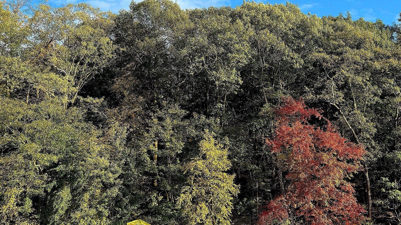 Photo of Outdoor in Walton Park