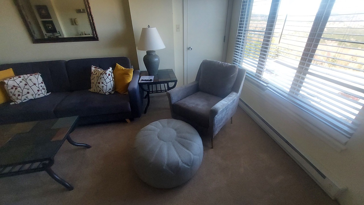 Photo of Livingroom in Snowshoe