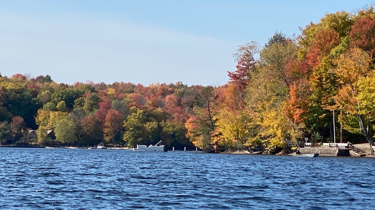 Photo of Others in White Lake